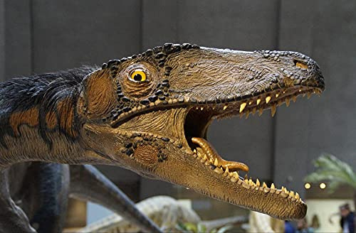 hansepuzzle 11307 - Dinosaurier Puzzle 500 Teile - Orte-Puzzle mit hochwertiger Aufbewahrung: Kartonbox und wiederverschließbarem Beutel - Puzzle-Maße: 46 x 30 cm