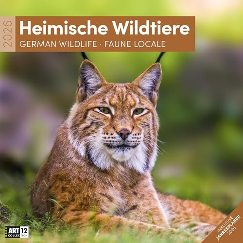 Heimische Wildtiere Broschürenkalender 2026 - 30x30 - Art12 | Bildgewaltiger Tier-Kalender im schlanken Hochformat (aufgeklappt 30x60 cm) | Notizen