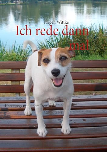 Ich rede dann mal: Unterwegs mit einem Ironiker