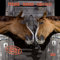 Horses/Pferde 2024: Kalender 2024 (Artwork Edition)