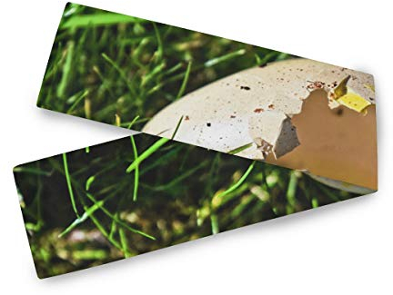 MONTOJ Tischläufer Toffee, 33 x 178 cm, Eierfarben, Polyester, 1, 13x70(in)