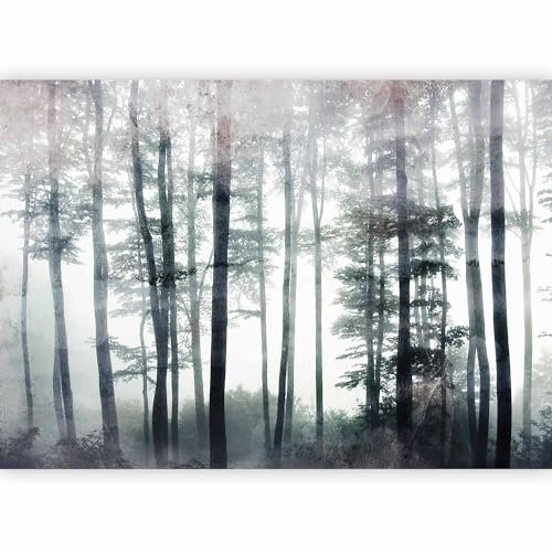 murando - Papier peint panoramique nature 350x256 cm - Revêtement mural décoration pour chambre salon cuisine - Design unique et moderne - Gris bleu - Nature arbres forêt paysage b-C-0986-a-a