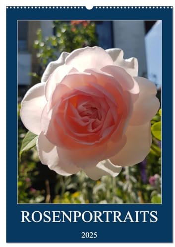 Rosenporträts (Wandkalender 2025 DIN A2 hoch), CALVENDO Monatskalender