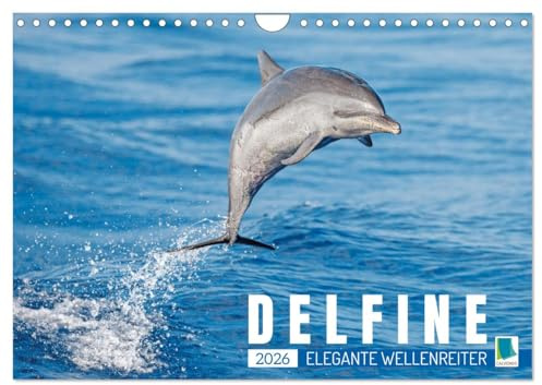 Delfine: Elegante Wellenreiter (Wandkalender 2026 DIN A4 quer), CALVENDO Monatskalender: Delphine: Die Welt der verspielten Meeressäuger (CALVENDO Tiere)