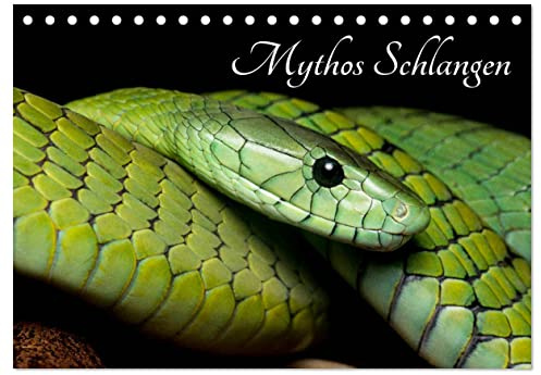 Mythos Schlangen (Tischkalender 2026 DIN A5 quer), CALVENDO Monatskalender: Die Schönheit der Schlangen. Festgehalten in eindrucksvollen Fotos. (CALVENDO Tiere)