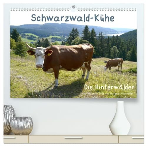 Schwarzwald-Kühe - Die Hinterwälder (hochwertiger Premium Wandkalender 2026 DIN A2 quer), Kunstdruck in Hochglanz: Der Schwarzwald wurde durch Hinterwälder Kühe mitgeprägt. (CALVENDO Tiere)