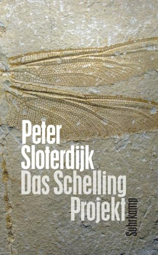 Das Schelling-Projekt: Bericht (suhrkamp taschenbuch)