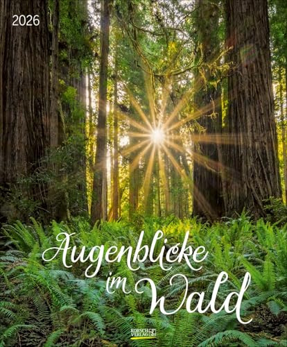 Augenblicke im Wald 2026: Wandkalender groß. Fotokunst-Kalender mit einzigartigen Bildern aus Wäldern. Großformat: 55 x 45,5 cm.