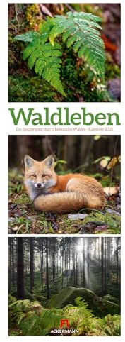 Waldleben - Ein Spaziergang durch heimische Wälder Triplet-Kalender 2025, Wandkalender im Hochformat (24x66 cm) - Waldkalender / Naturkalender