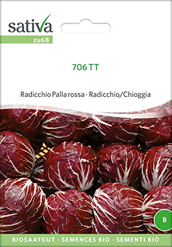 Sativa Rheinau zs68 Radiccio Palla Rossa 706 TT (Bio-Radicciosamen)