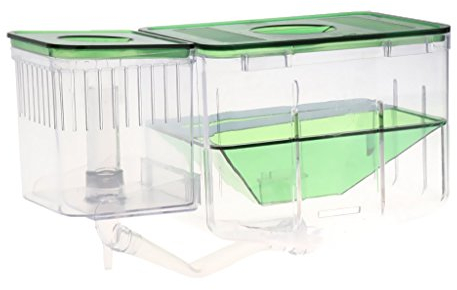 Tubayia Aquarium Fisch Züchter Box Zuchttank Zuchtbox Ablaichkasten Isolation Box für Aquarien Fisch Tank