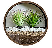 Jarrón colgante de pared, maceta geométrica redonda para montaje en pared, soporte de metal para plantas aéreas, contenedor vertical para plantas suculentas cactus y más