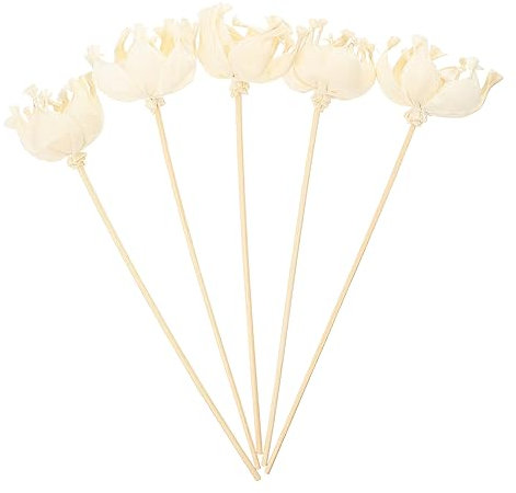 Cabilock 5stücke Aromatherapie Duftstäbchen Ohne Feuer Mit Getrockneten Blumen Raumduftlösende Dekorative Aroma Diffusorstäbchen Für Haus Und Wellness Langlebige Sichere Ätherische Öle