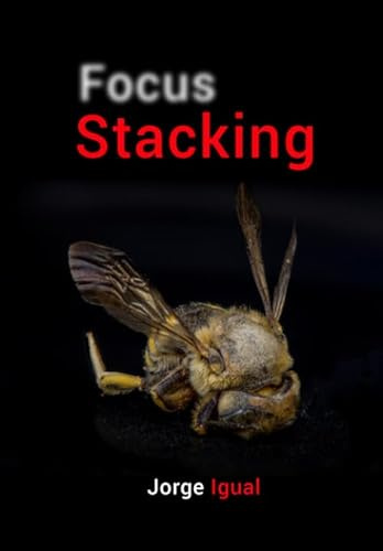Focus Stacking: Profundidad de campo extendida (Técnicas fotográficas, Band 1)