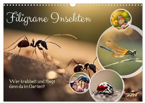 Filigrane Insekten (Wandkalender 2026 DIN A3 quer), CALVENDO Monatskalender: Wer krabbelt und fliegt denn da im Garten? (CALVENDO Tiere)