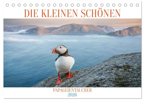Die kleinen schönen (Tischkalender 2026 DIN A5 quer), CALVENDO Monatskalender: Der Jahreskalender DIE KLEINEN SCHÖNEN ist eine wahre Augenweide für alle Natur- und Vogelliebhaber. (CALVENDO Tiere)