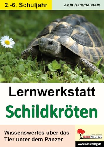 Lernwerkstatt Schildkröten Reptilien Sachunterricht Biologie Grundschule Sekundarstufe Klasse 2 3 4 5 6 Grundschrift | Schildkrötenarten Panzer ... Wissenswertes über das Tier unter dem Panzer
