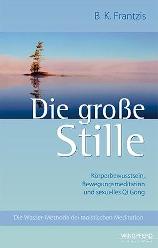 Die große Stille: Körperbewusstsein, Bewegungsmeditation und sexuelles Qi Gong. Die Wasser-Methode der taoistischen Meditation