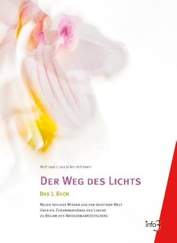 Der Weg des Lichts: Das 1. Buch: Neues heiliges Wissen aus der geistigen Welt über die Zusammenhänge des Lebens zu Beginn des Wassermannzeitalters