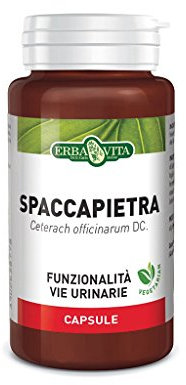 ErbaVita Spaccapietra 60vcps