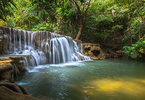 Forwall Fototapete Wald Wasserfall Natur Bäume Landschaft Tropen Wohnzimmer Schlafzimmer Vlies Tapete Wandtapete UV-Beständig Montagefertig (12114, V8 (368x254 cm) 4 Bahnen)