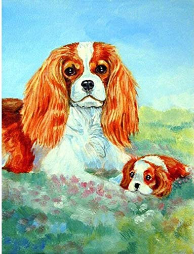 CONFUSE Kit Herramientas para Envolver AutomóViles Rascador Vinilo Cortador Escurridor de PelíCula EspáTulas Vinilo Herramienta para Envolver PláStico Herramientas para TeñIr Ventanas