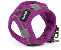 Harness for Dog Gloria Trek Star 24-26 cm 28-28.8 cm Purple XXS
