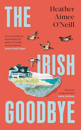 The Irish Goodbye: The US Sensation Perfect For Readers of The Wedding People