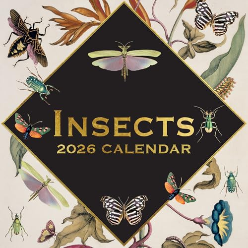 TGSC Kalender 2026, 16 Monate (Septer 2025-Dez. 2026), quadratischer Wandkalender 2026, Planer mit großem Raster für die Organisation zu Hause oder im Büro, Kunst 2026/2025, Kalender UK