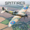 Spitfires – Spitfire – Britisches Jagdflugzeug 2023: Original Avonside-Kalender [Mehrsprachig] [Kalender] (Wall-Kalender)