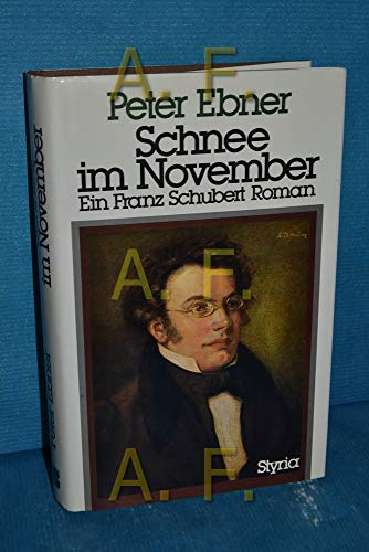 Schnee im November: Ein Franz-Schubert-Roman. Mit e. Vorw. v. Hermann Prey