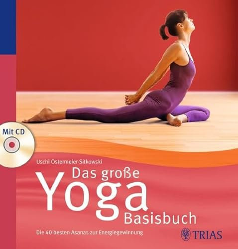 Das große Yoga Basisbuch: Die 40 besten Asanas zur Energiegewinnung