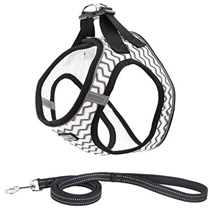Suredoo Hundegeschirr mit Leine Anti Zug Geschirr Reflektierend Brustgeschirr für Kleine Hunde, Haustiere, Welpen, Katzen (Weiße Welle, M)