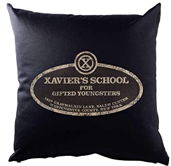 Urban Backwoods Xavier's School for Gifted Youngsters Kissen Dekokissen
