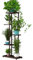 Uposao Metall Blumenregal Pflanzenregal 5-Tier 6 Töpfe, Mehrstöckig Blumenständer Pflanzenständer Blumenbank Blumentreppe Pflanzentreppe Standregal für Innen Außen Garten Balkon Deko