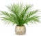 Hollyone Plantes artificielles pour la décoration de la maison, fausse plante en pot