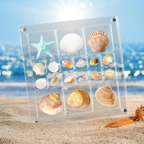 Magnetische Muschel Vitrine aus Acryl,18 Fächer Klar Acryl Muschel-Organizer,Strand Muschel sammelbox,Magnetische Muschelvitrine für Schmuck, Perlen, Nägel, Seesterne, Bastelbedarf(14.2x14.2cm)