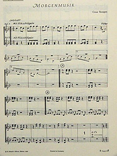Morgenmusik: Blockflöten-Chor und kleines Schlagzeug (Orff-Instrumentarium). Alt-Xylophon. (Bausteine - Werkreihe (Praxishilfe))