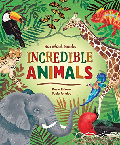 Barefoot Books Incredible Animals: 1