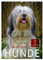 Hunde - treu und ehrlich (Wandkalender 2025 DIN A2 hoch), CALVENDO Monatskalender