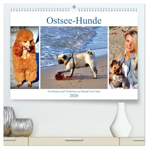 Ostsee-Hunde - Zweibeiner und Vierbeiner am Strand von Cranz (hochwertiger Premium Wandkalender 2026 DIN A2 quer), Kunstdruck in Hochglanz: Große und ... Ostseebad Cranz/Selenogradsk (CALVENDO Tiere)