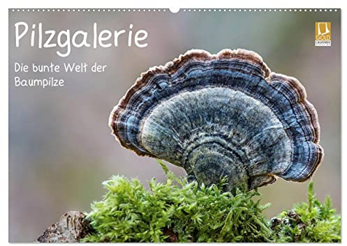 Pilzgalerie - Die bunte Welt der Baumpilze (Wandkalender 2026 DIN A2 quer), CALVENDO Monatskalender: Ein faszinierender Einblick in die bunte Welt der Baumpilze (CALVENDO Natur)
