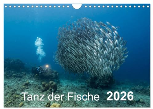 Tanz der Fische (Wandkalender 2026 DIN A4 quer), CALVENDO Monatskalender: Fischbälle - eine großartige Begegnung mit den verschiedensten Formen! (CALVENDO Natur)