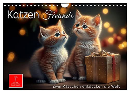Katzen Freunde (Wandkalender 2024 DIN A4 quer), CALVENDO Monatskalender: Bezaubernde Bilder kleiner Kätzchen. (CALVENDO Tiere)