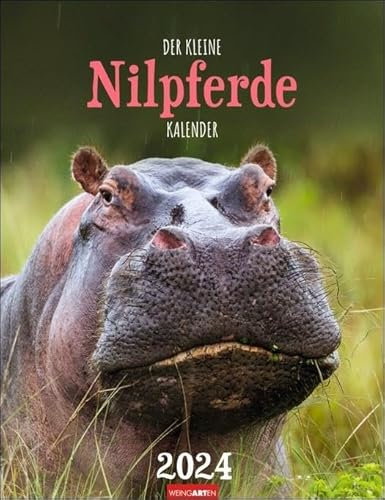 Der kleine Nilpferde-Kalender 2024. Praktischer Wand-Kalender mit fröhlichen Nilpferd-Fotos zum Staunen und Schmunzeln. Foto-Wandplaner mit Platz für Termine 2024.