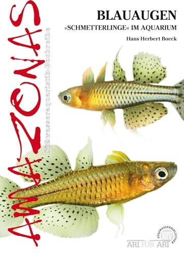 Blauaugen: „Schmetterlinge“ im Aquarium (Buchreihe Art für Art Süßwasser)