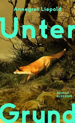 Unter Grund: Roman - »Ein beeindruckendes Debüt« SZ