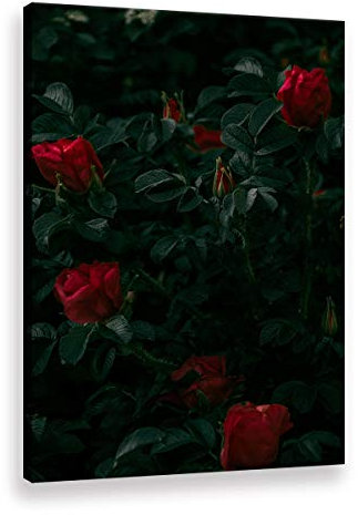 Five-Seller Rote Rose Wandkunst Moderne Kunstwerk Malerei Druck Auf Leinwand Blumen Bild Für Wohnzimmer Home Decoration (Kein Rahmen,30 x 50 cm)