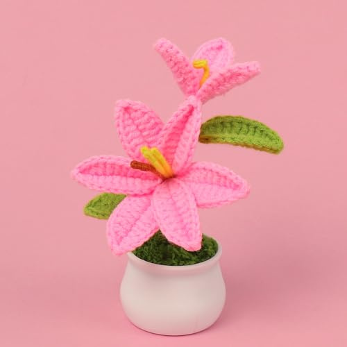 BYVUTE Maceta de lirio de ganchillo, flores artificiales tejidas a mano, decoración eterna para oficina, cocina, sala de estar, mesa, oficina, dormitorio, regalo único (rosa A)