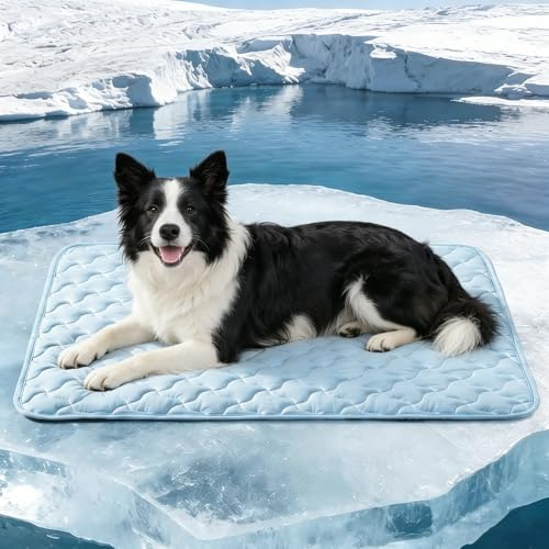 JOEJOY Dog Cooling Mat Large, Q-Max>0.5 Instant Pet Cooling Mat, Anti-Slip Chew-Resistant, Portable Washable Cooling Pad for Crate, Car, Travel, Indoor Outdoor Use, 90x50cm, Blue